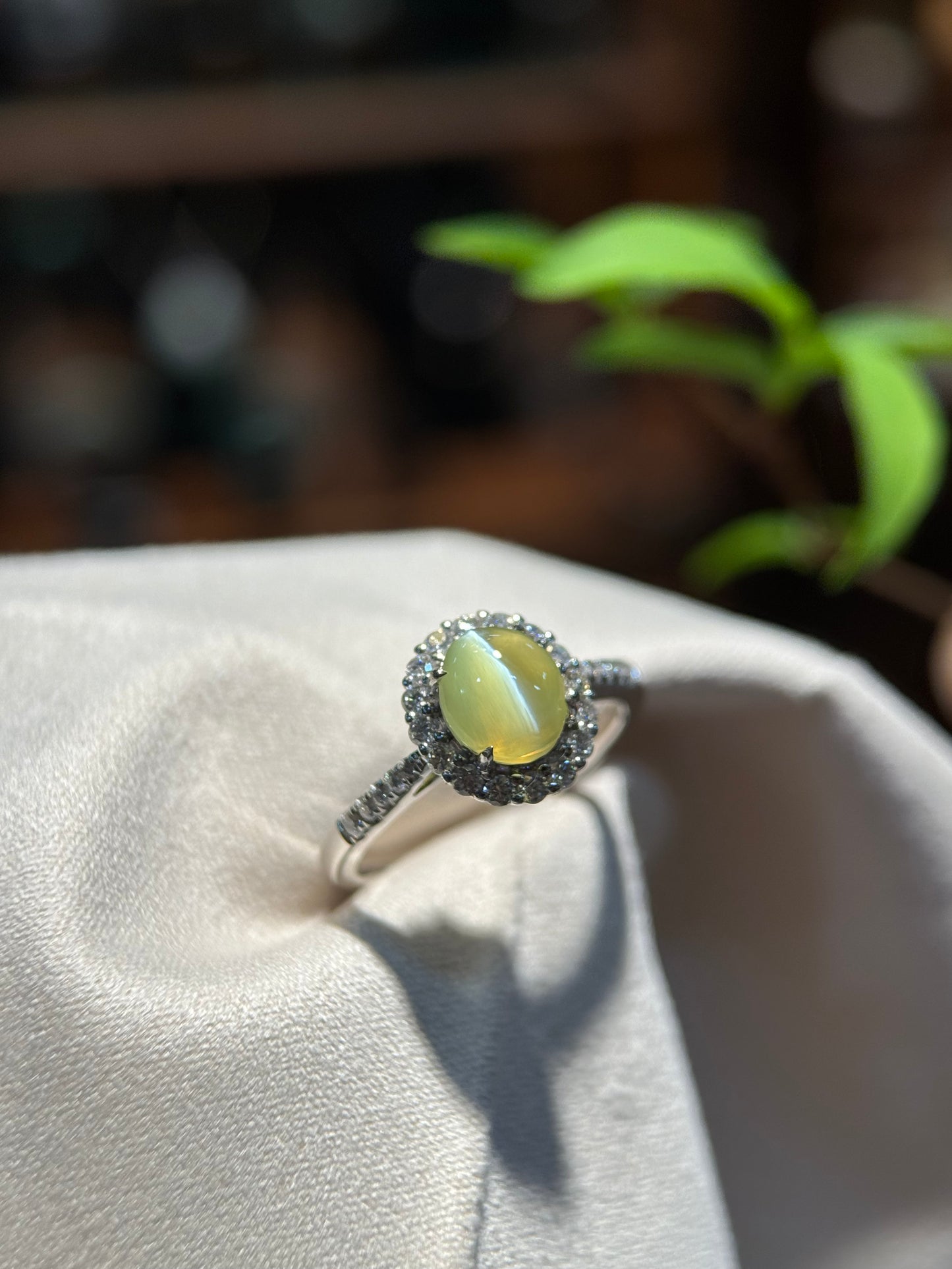 Cat’s Eye Chrysoberyl Ring (R145)