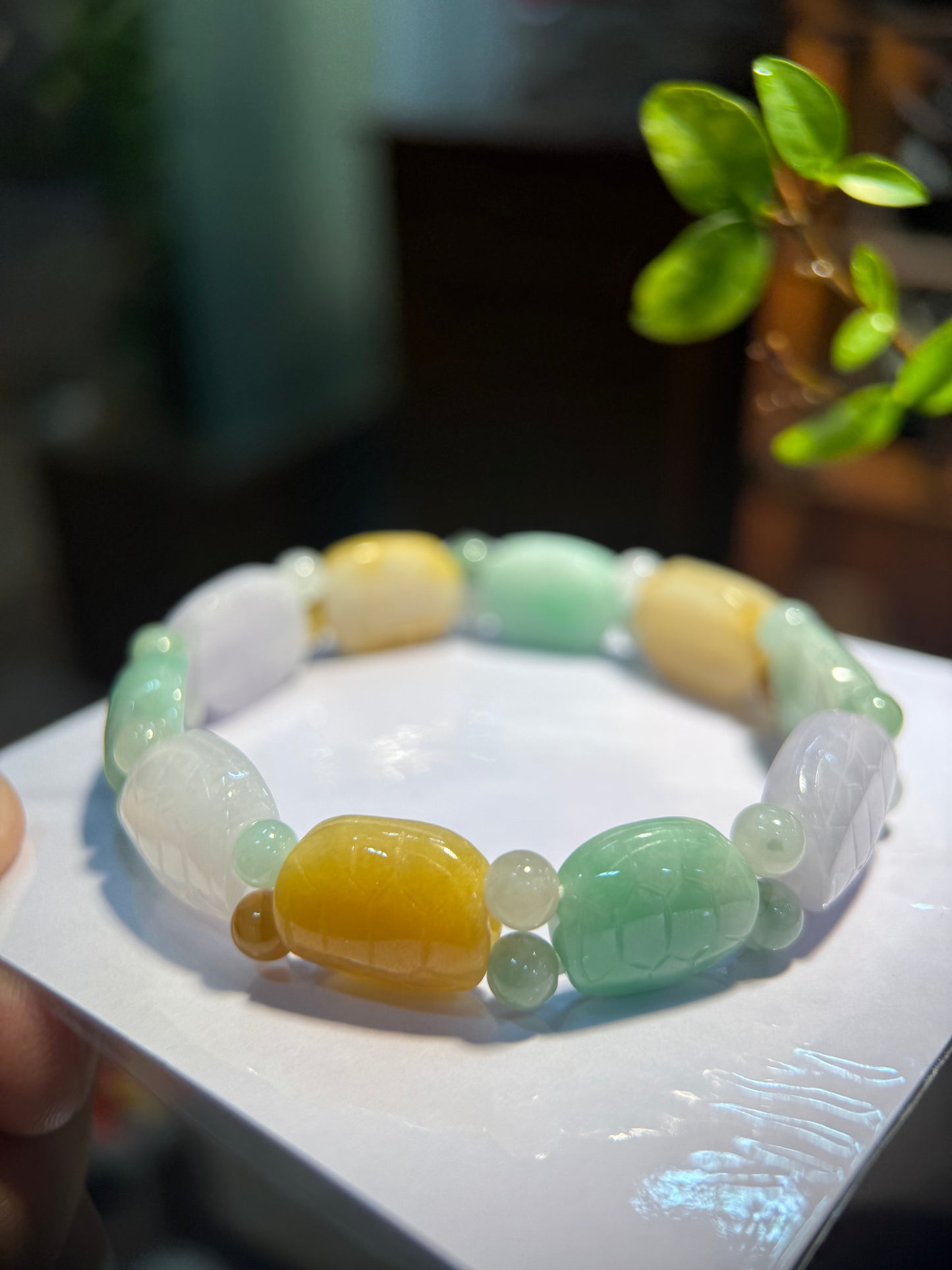 Turtle Shell Jade Bracelet (B015)