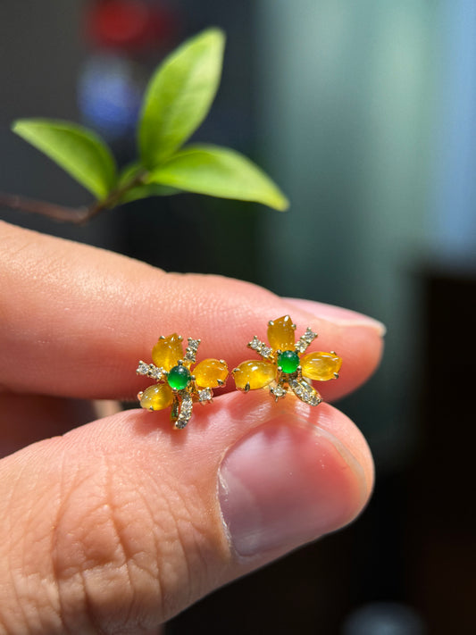 Irregular Honey Jadeite Earring (E337)