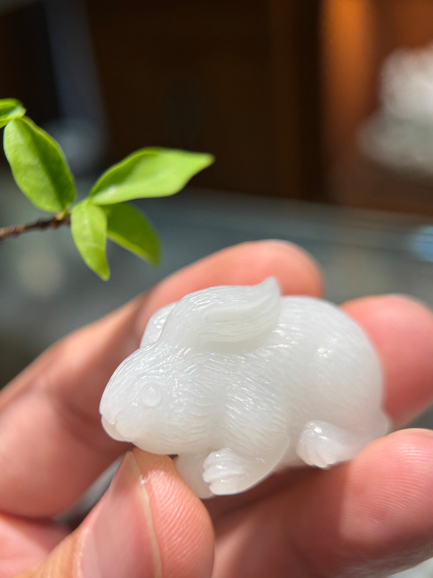 Rabbit Ornament (H936)
