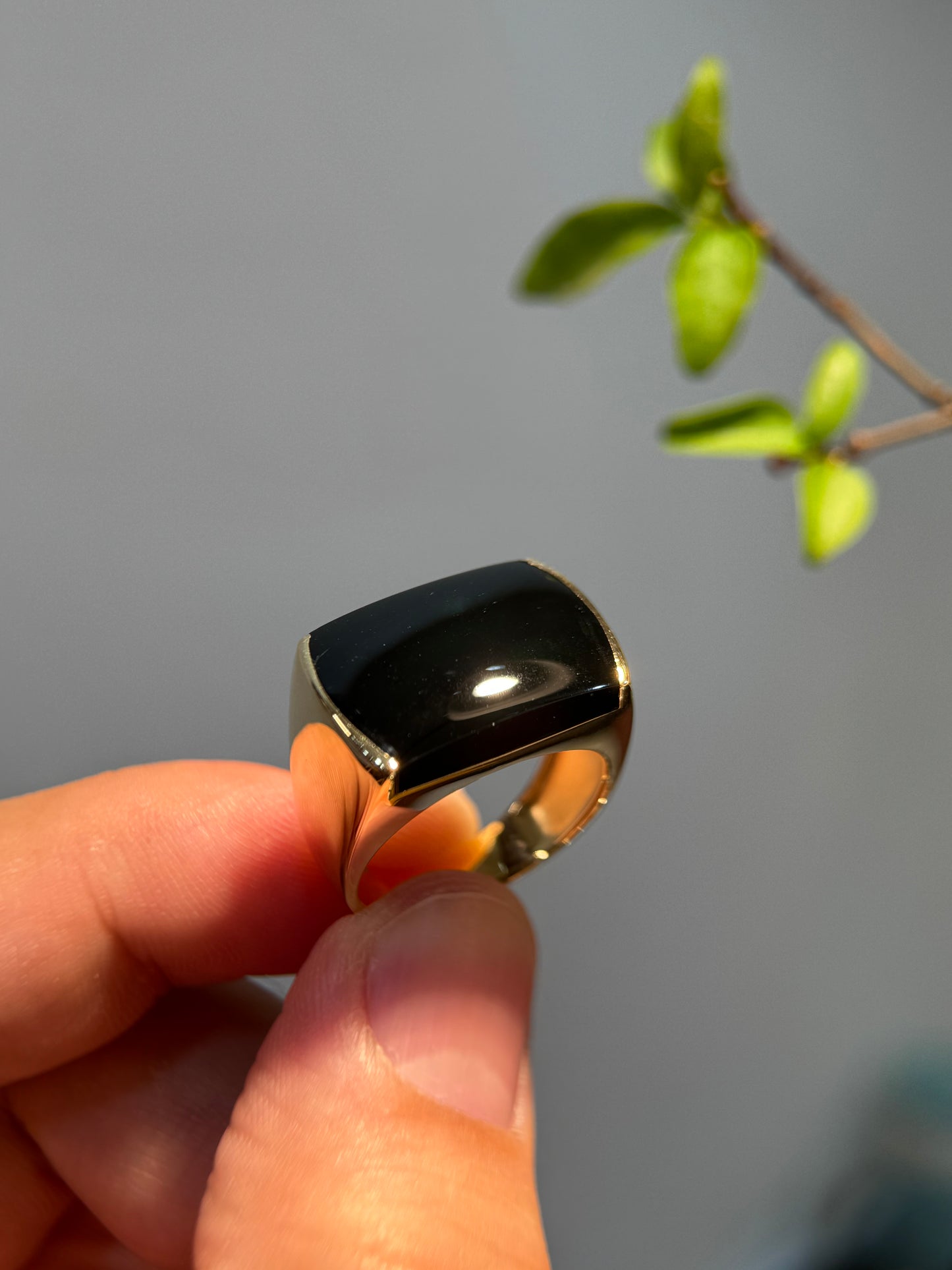 Omphacite Saddle Jade Ring (R153)