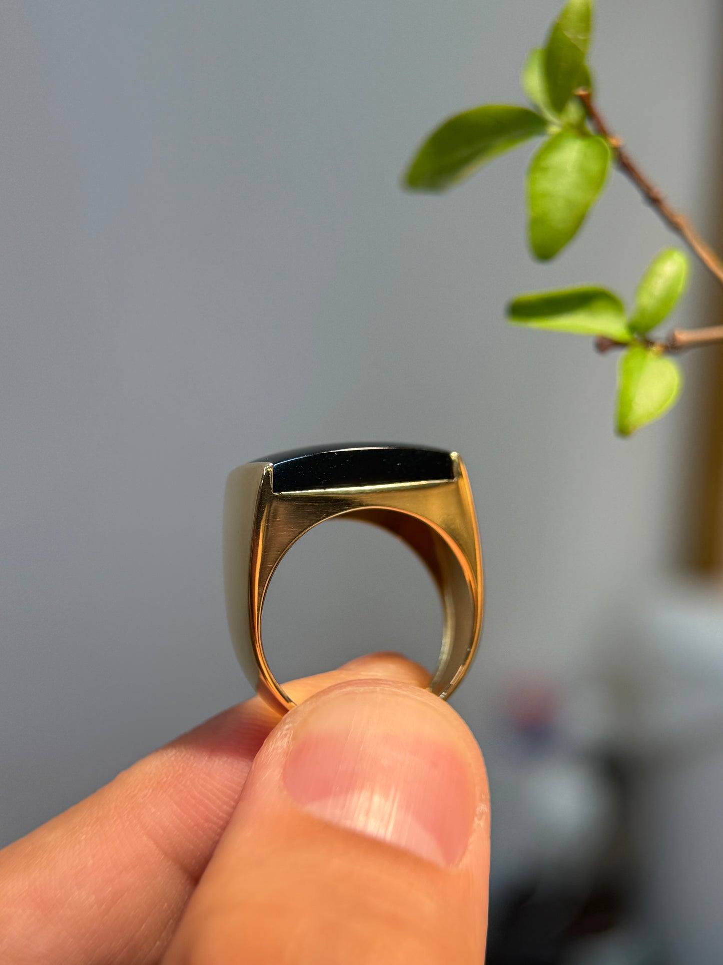 Omphacite Saddle Jade Ring (R153)