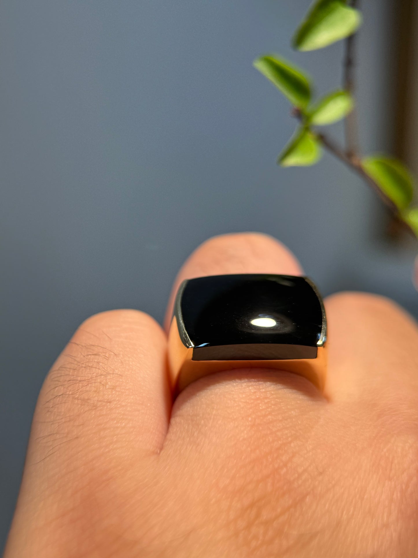 Omphacite Saddle Jade Ring (R153)