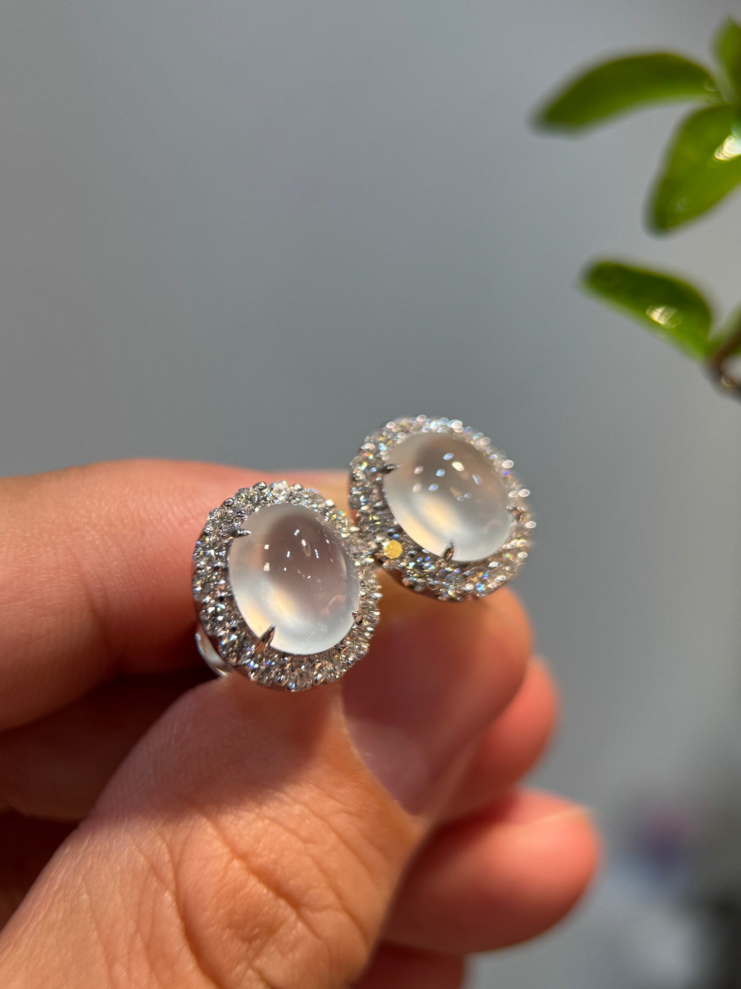 Glassy Cabochon Earring (E341)