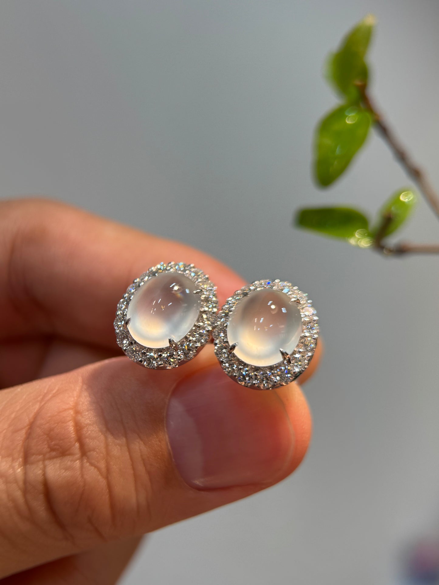 Glassy Cabochon Earring (E341)