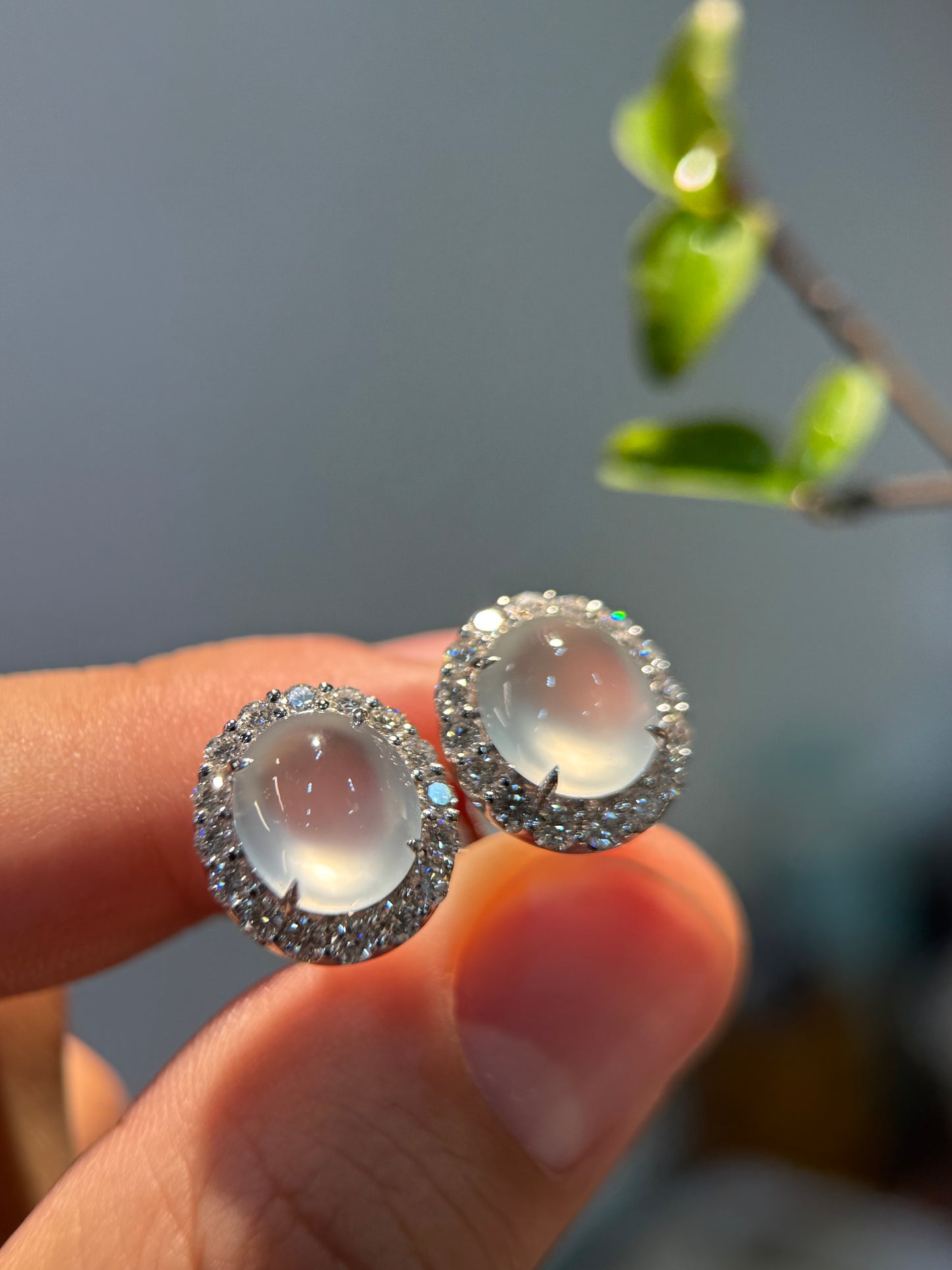 Glassy Cabochon Earring (E341)