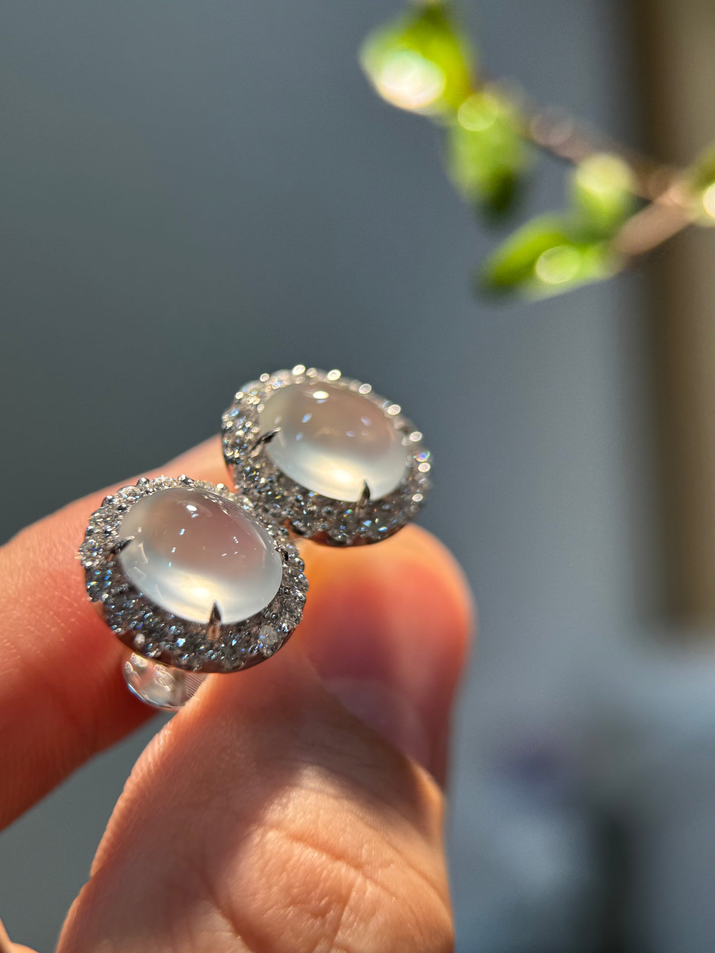 Glassy Cabochon Earring (E341)