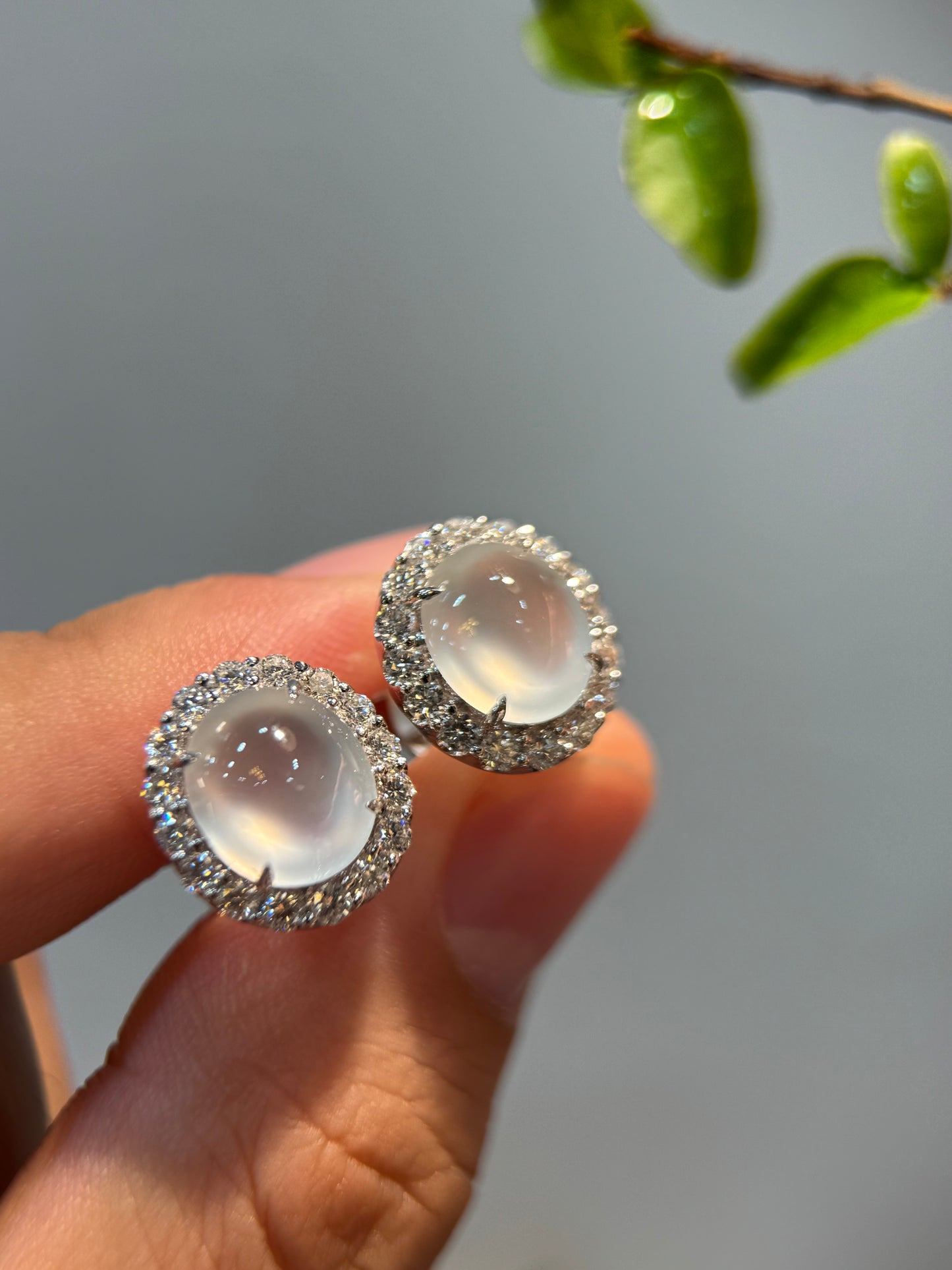 Glassy Cabochon Earring (E341)