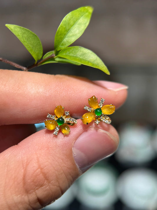 The Timeless Beauty of Jade: Why Jade Jewelry Remains a Cultural Treasure