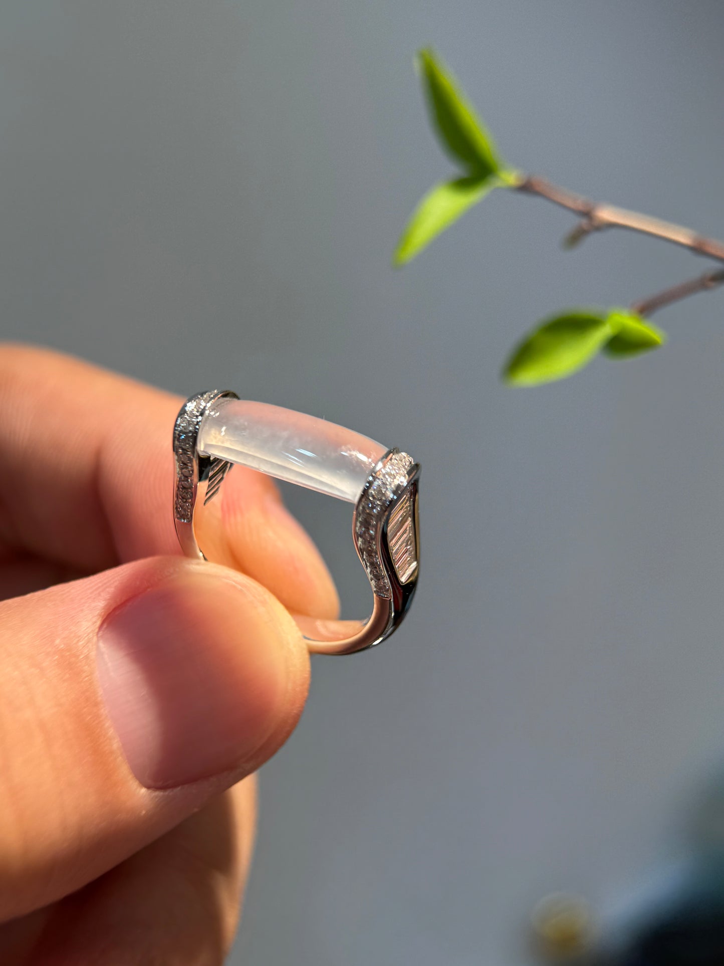 Icy Saddle Ring (R144)