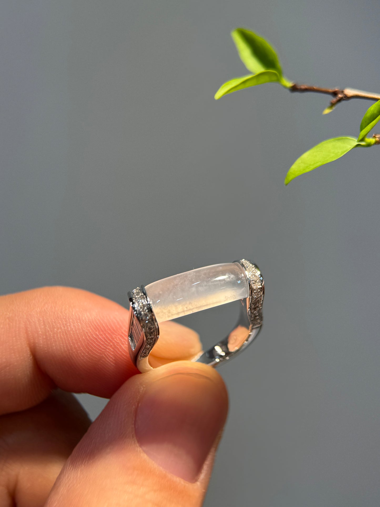 Icy Saddle Ring (R144)