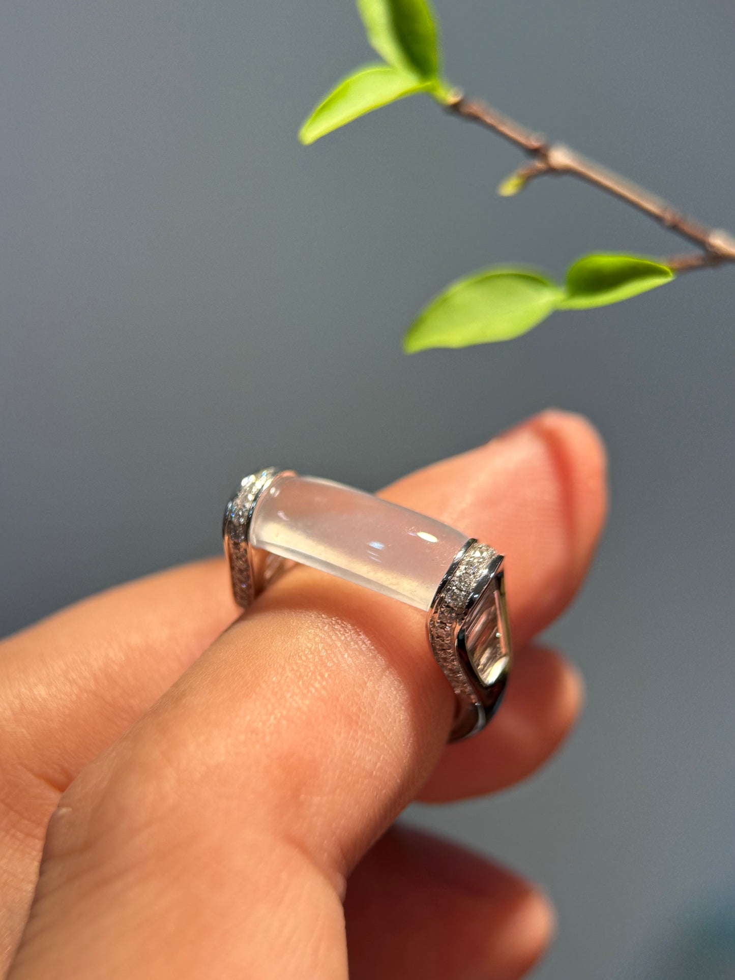 Icy Saddle Ring (R144)