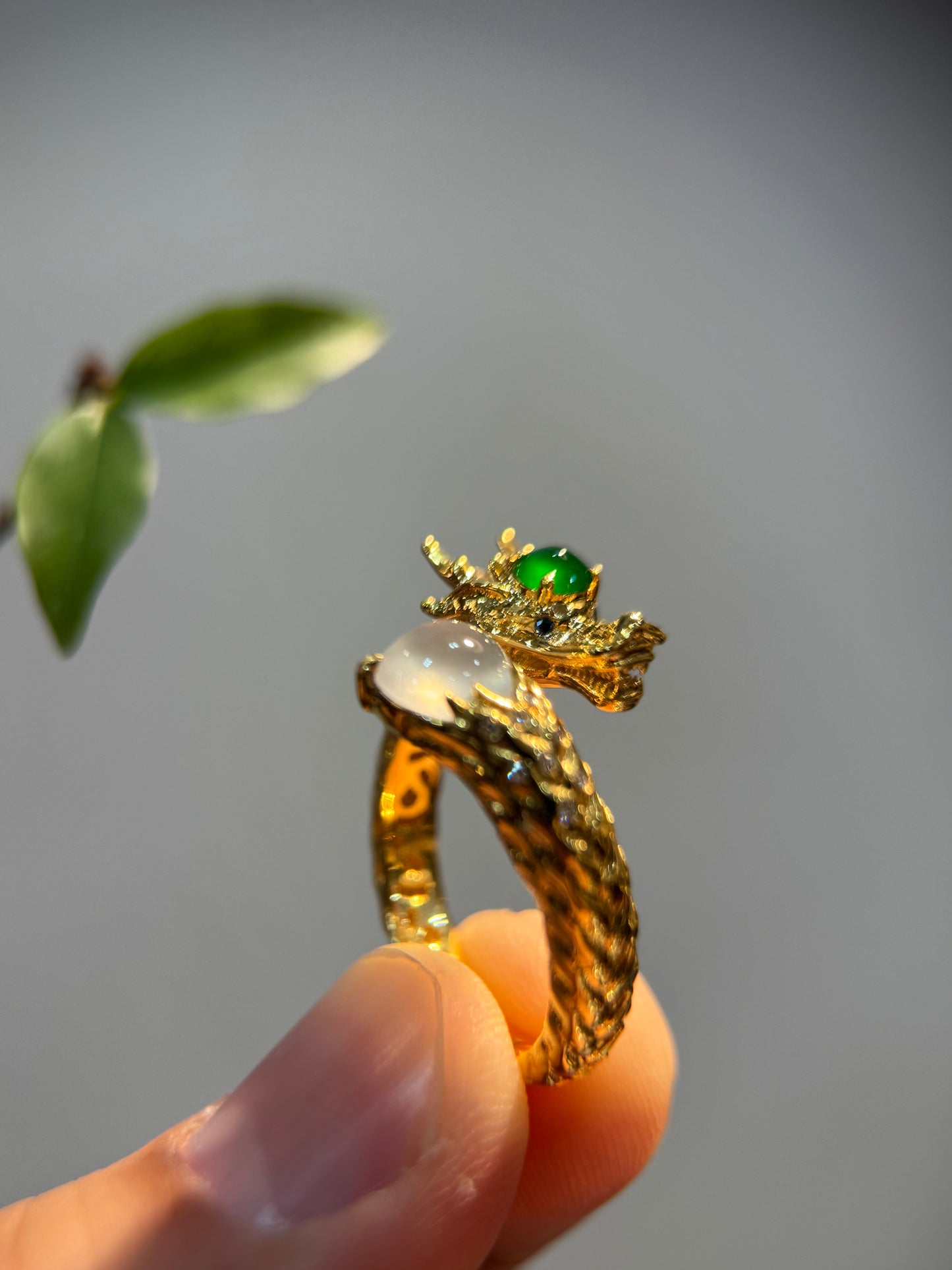 Dragon Jade Ring (R161)