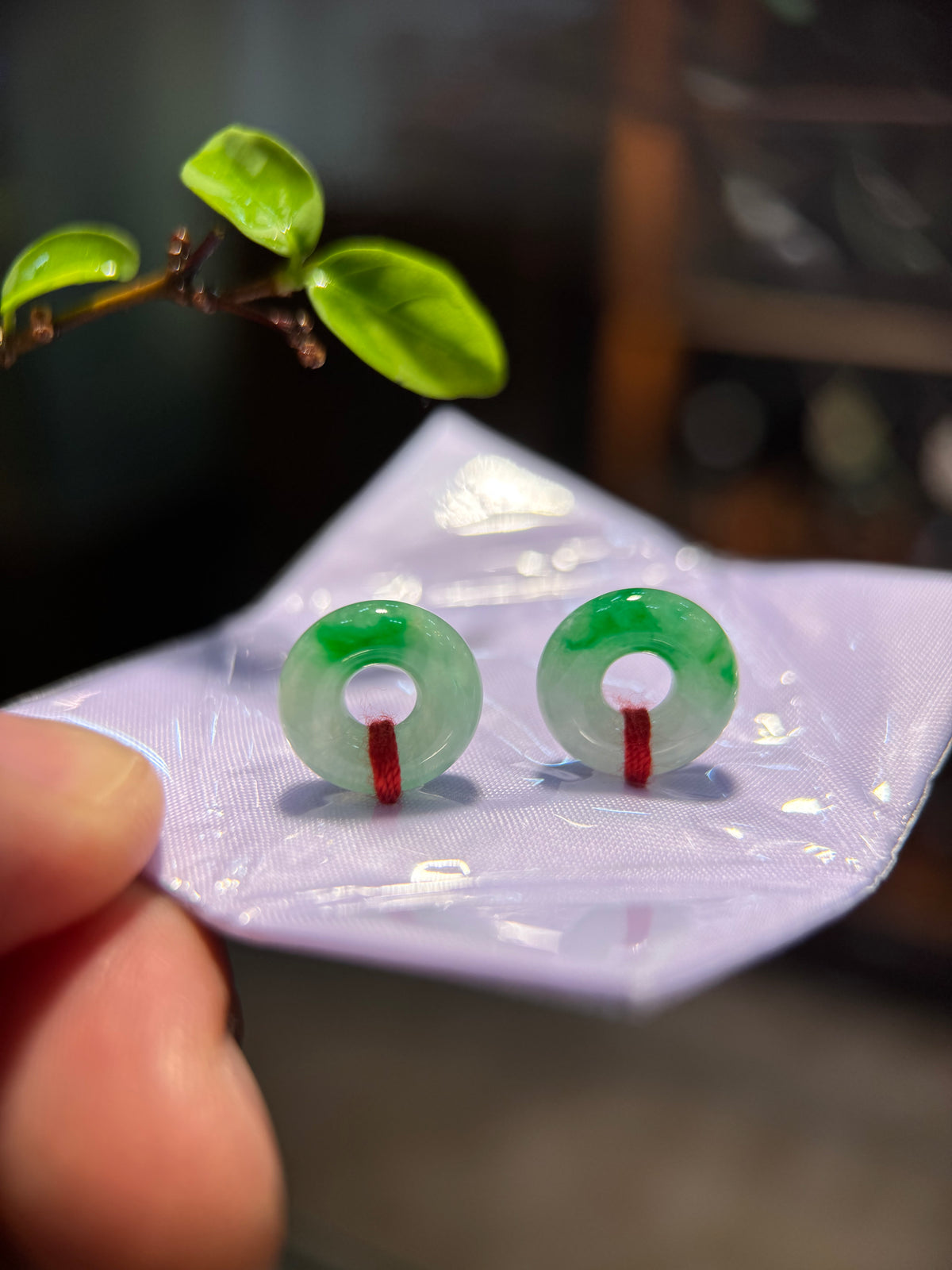 Green Donut Shape Earring (E347)