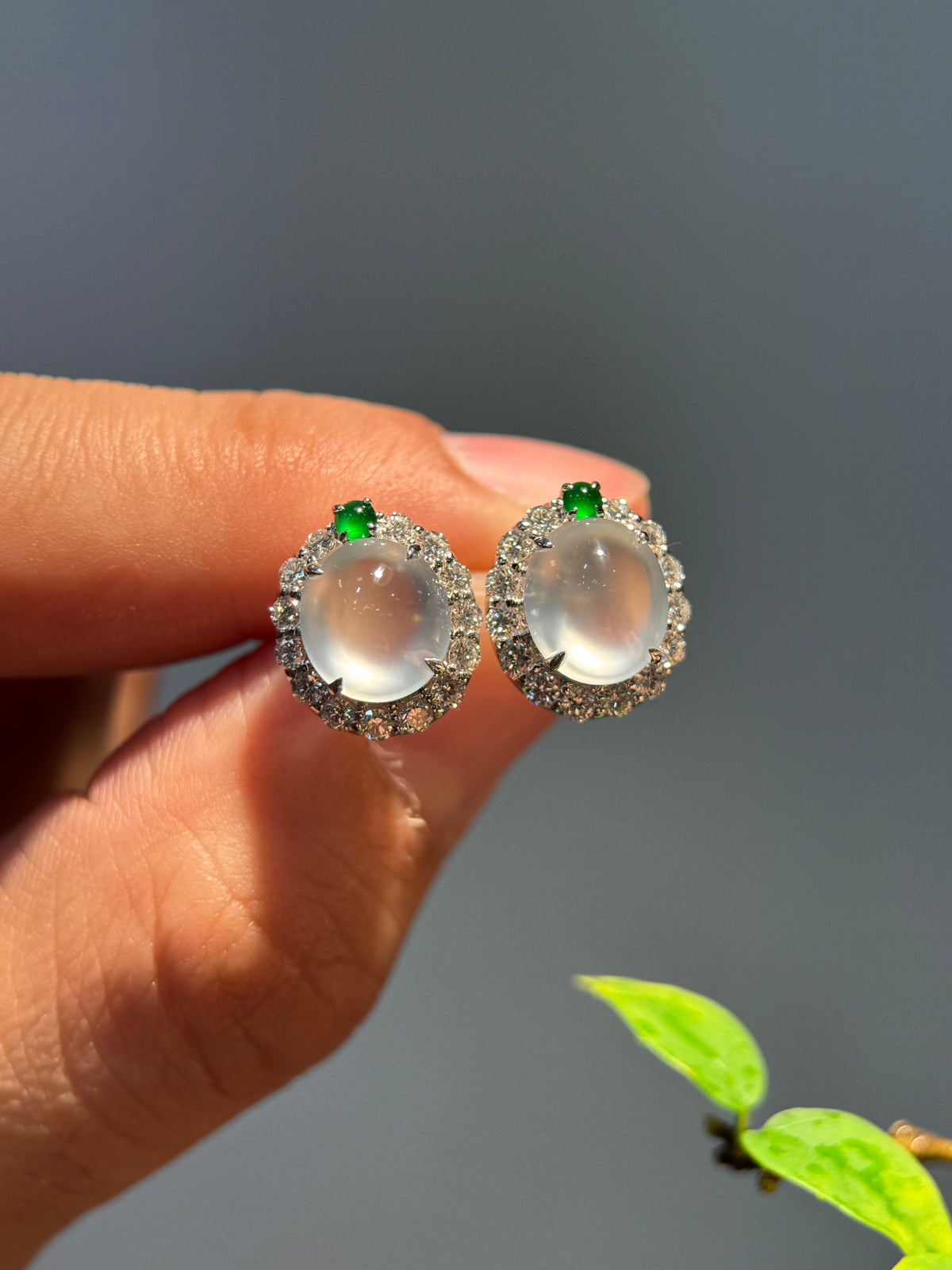 Glassy Cabochon Earring (E348)