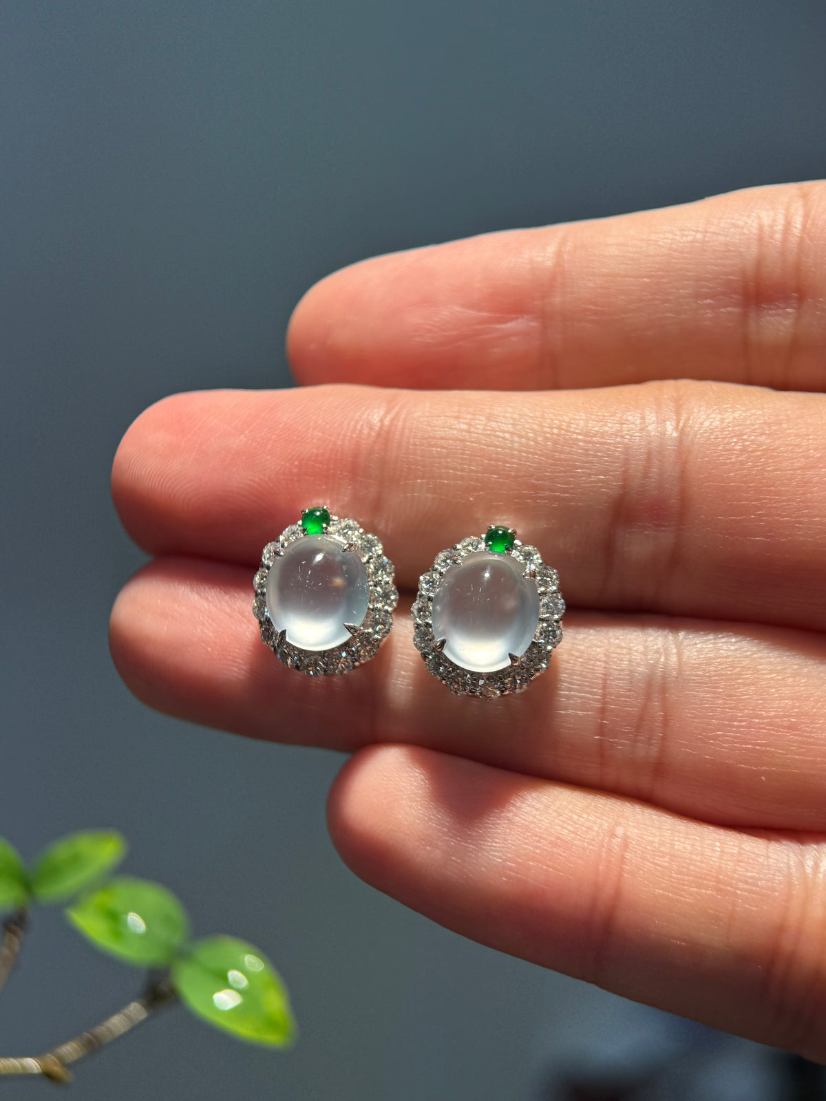 Glassy Cabochon Earring (E348)