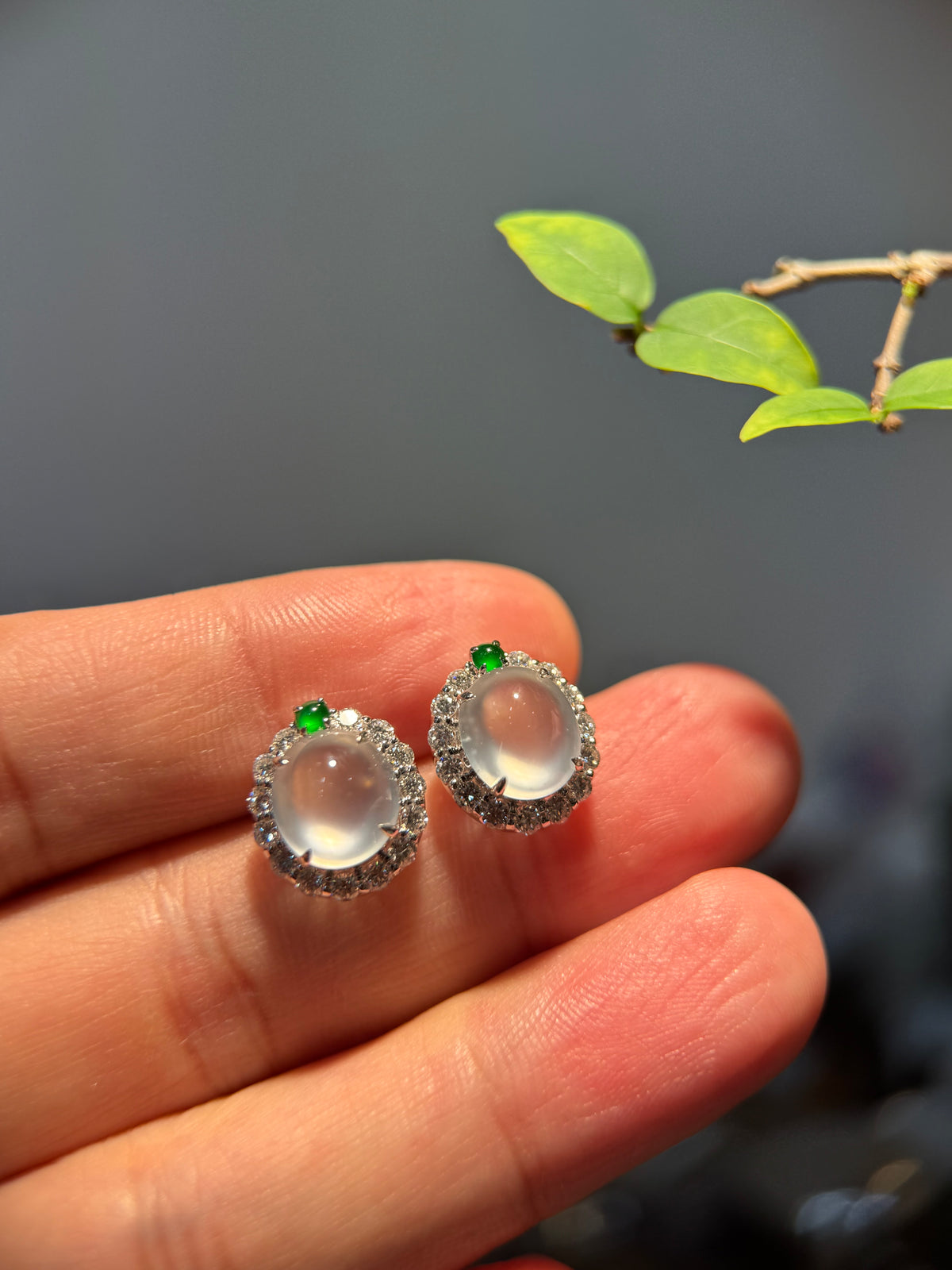 Glassy Cabochon Earring (E348)
