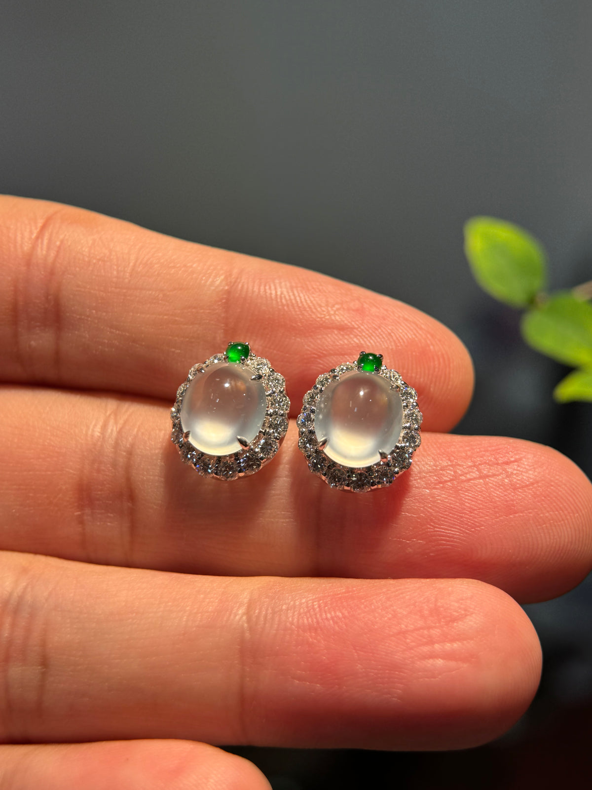 Glassy Cabochon Earring (E348)