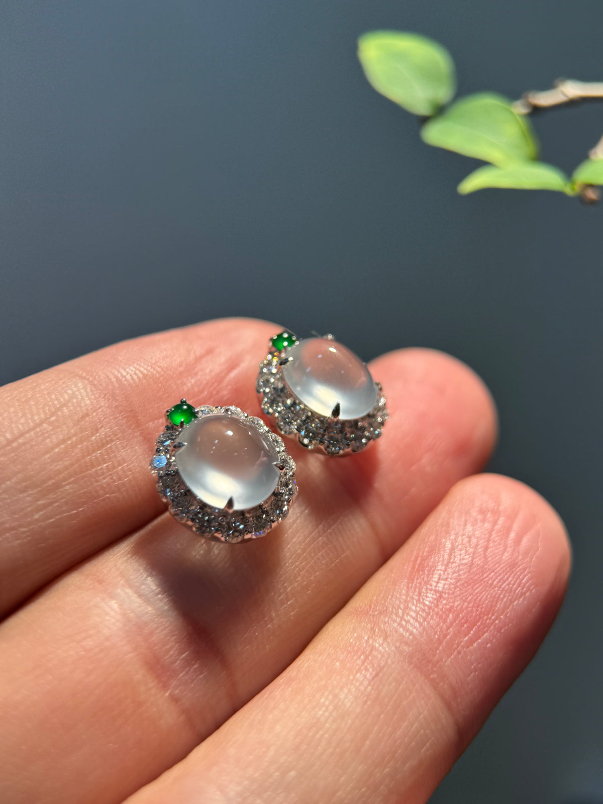 Glassy Cabochon Earring (E348)