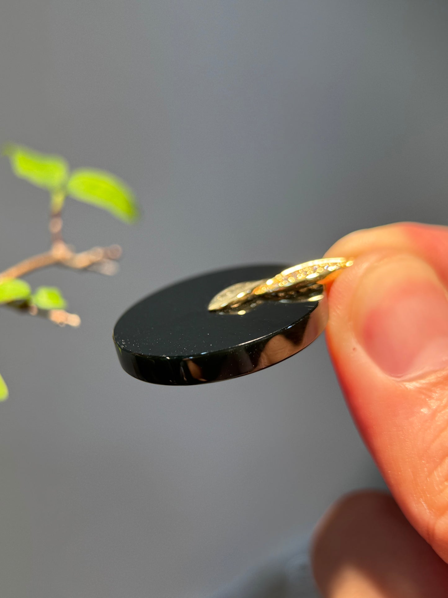 Omphacite Safety Coin Pendant (P161)